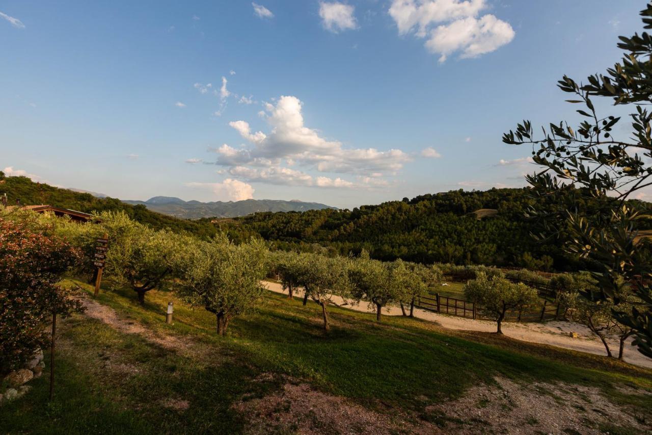 Agriturismo Agrileisuretime Spoleto Exterior photo