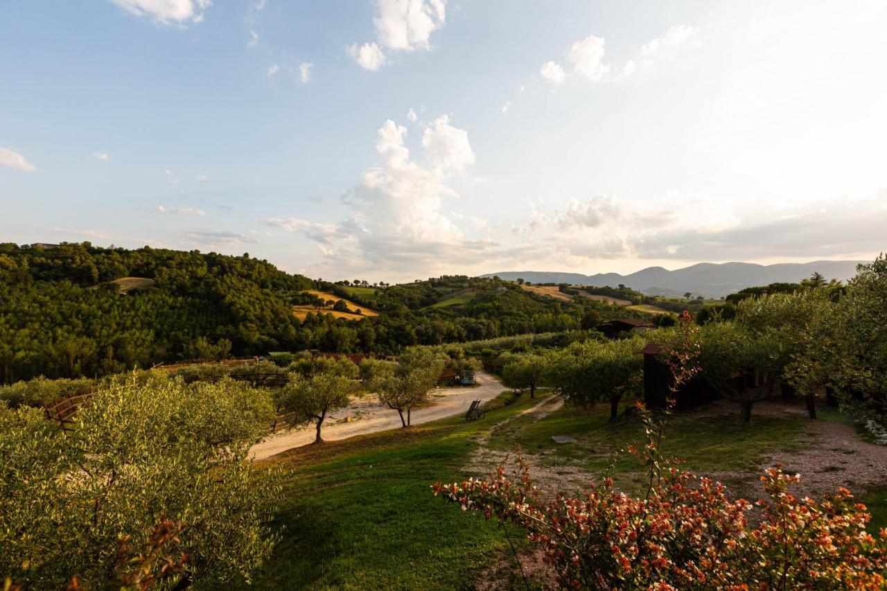 Agriturismo Agrileisuretime Spoleto Exterior photo
