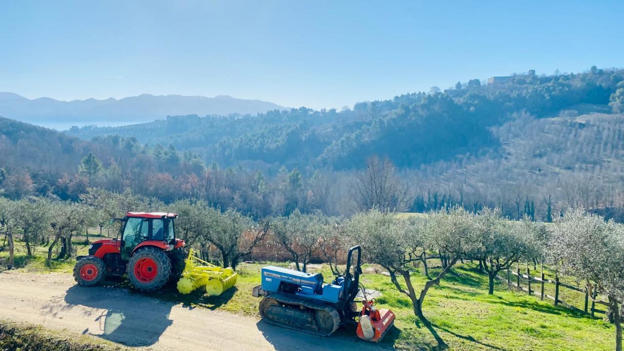 Agriturismo Agrileisuretime Spoleto Exterior photo